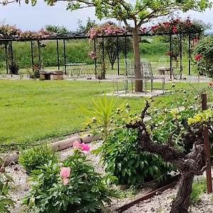  Hébergement de vacances En Provence Lavande